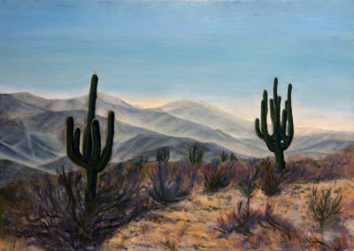 « Salta, cactus »<br>Acrylique et huile sur toile, 50x70cm, 2022