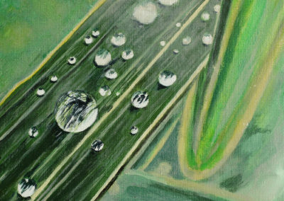 « Gouttes d’eau sur des feuilles »<br>Acrylique sur toile, 14x18cm, 2019