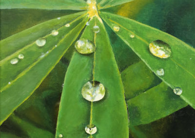 « Gouttes d’eau sur des feuilles »<br>Huile sur toile, 41x33cm, 2018