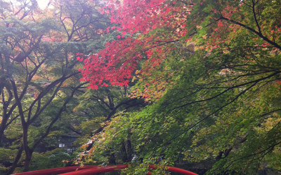 Ikaho, mon spot secret