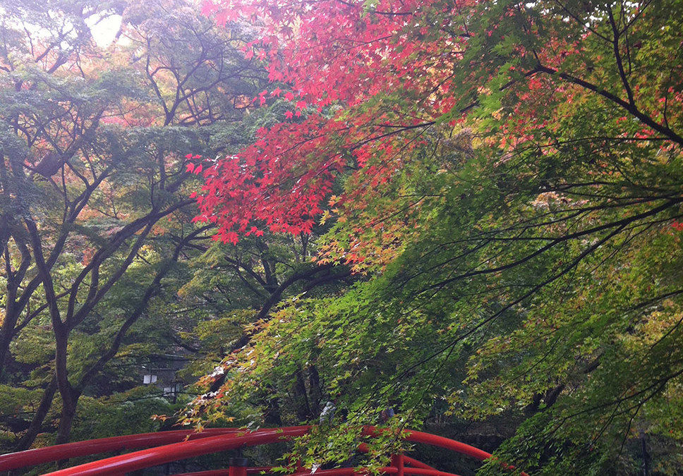 Ikaho, mon spot secret