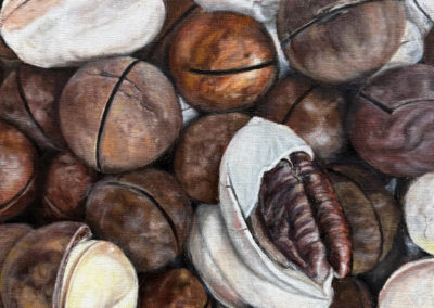 «&nbsp;Noix de macadamia et de pécan de la Russie&nbsp;»  huile sur toile, 30 x 30cm, 2026