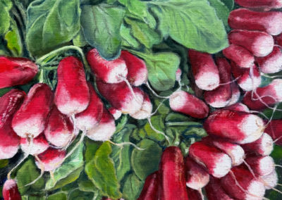 «&nbsp;Radis&nbsp;»  huile sur toile, 30 x 30cm, 2026