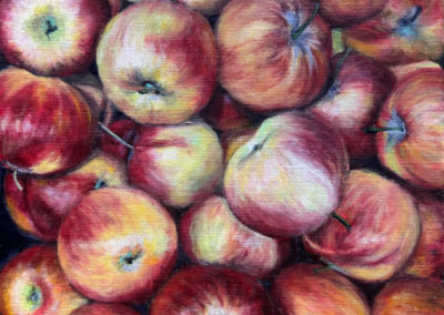 «&nbsp;Reinettes ou Gala?&nbsp;»  huile sur toile, 30 x 30cm, 2026